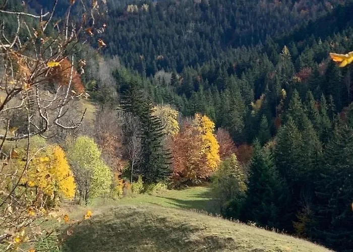 L'ecrin Du Vercors * Villard-de-Lans