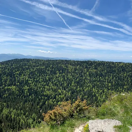 L'ecrin Du Vercors Lejlighed